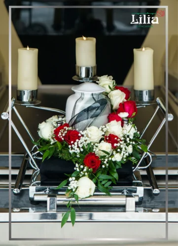 róża jasna i czerwona